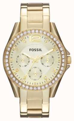 Fossil Riley das mulheres | mostrador de ouro | conjunto de cristal | pulseira de aço inoxidável de ouro ES3203